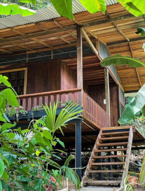 Ecohotel Iraka Cabañas Privadas en Selva y Playa